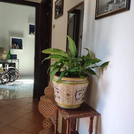 Sweet Apartment